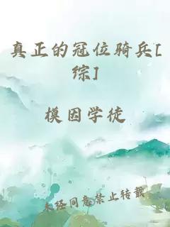 真正的冠位骑兵[综]