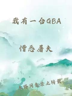 我有一台GBA