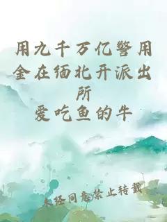 用九千万亿警用金在缅北开派出所